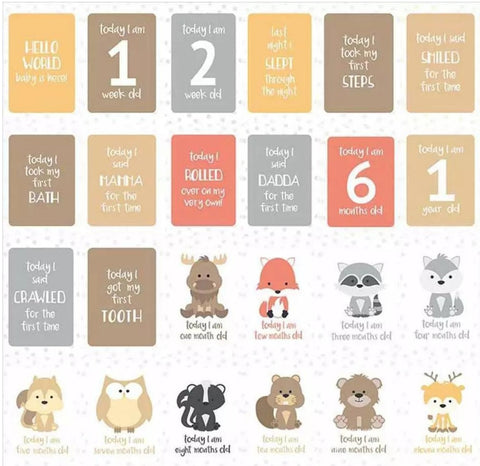 24 Baby Milestone Cards